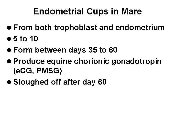 Endometrial Cups in Mare l From both trophoblast and endometrium l 5 to 10