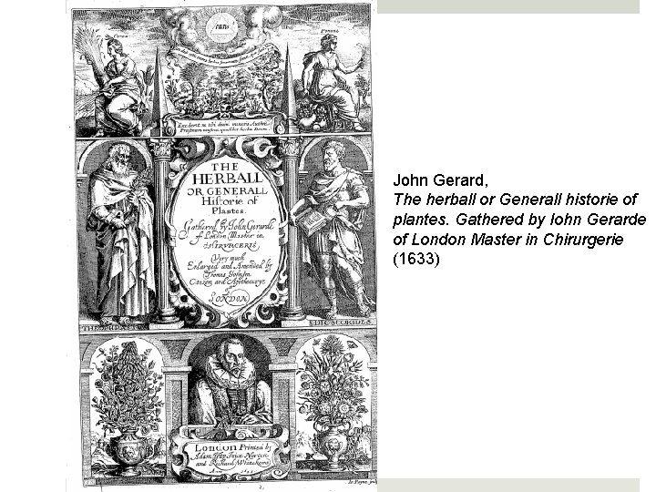 John Gerard, The herball or Generall historie of plantes. Gathered by Iohn Gerarde of