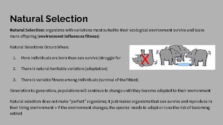 Natural Selection: organisms with variations most suited to their ecological environment survive and leave