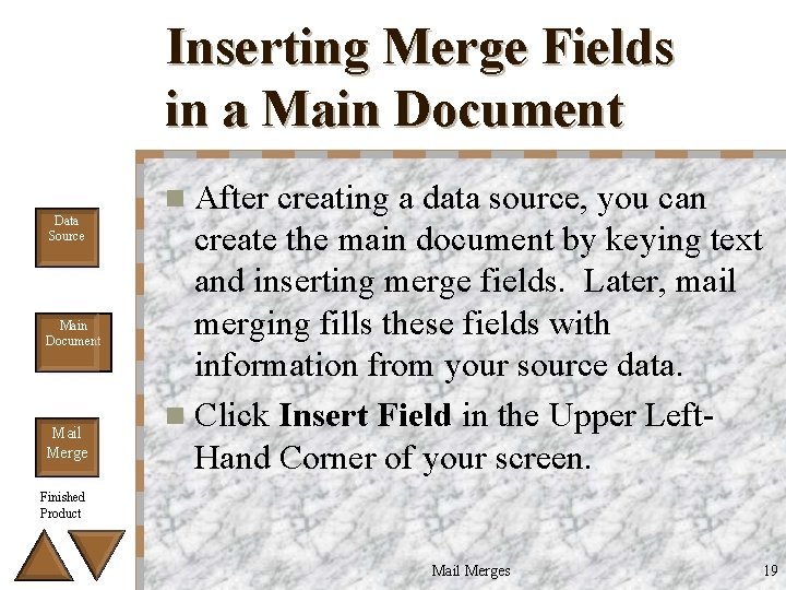 Inserting Merge Fields in a Main Document Data Source Main Document Mail Merge n