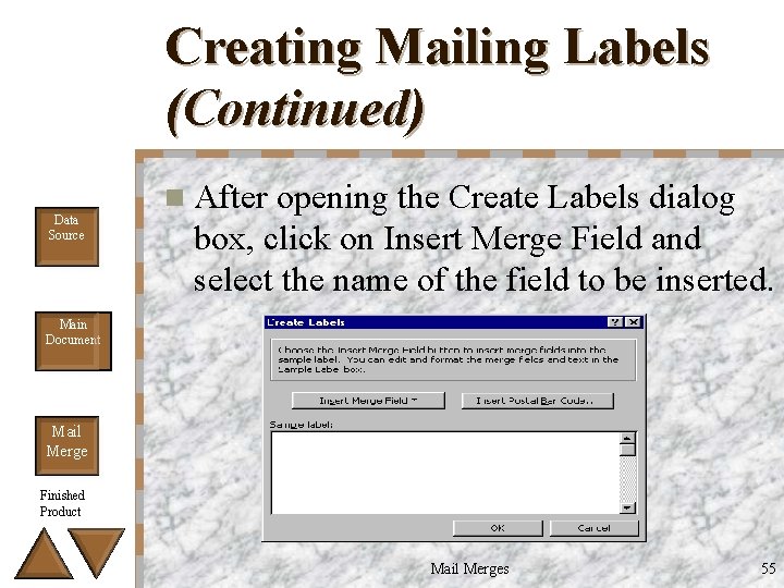 Creating Mailing Labels (Continued) Data Source n After opening the Create Labels dialog box,