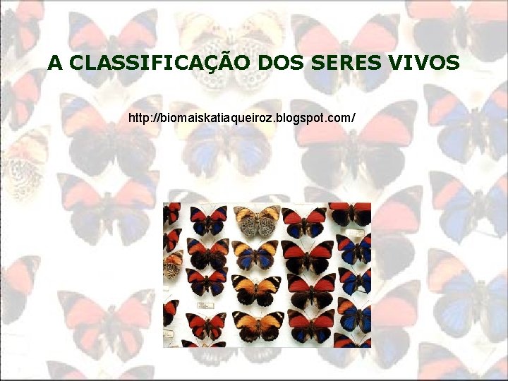 A CLASSIFICAÇÃO DOS SERES VIVOS http: //biomaiskatiaqueiroz. blogspot. com/ 
