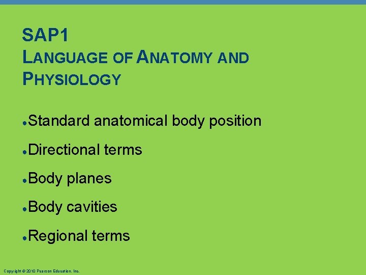 SAP 1 LANGUAGE OF ANATOMY AND PHYSIOLOGY ● Standard anatomical body position ● Directional