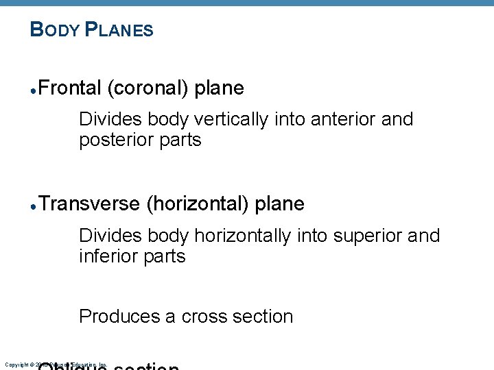 BODY PLANES ● Frontal (coronal) plane Divides body vertically into anterior and posterior parts BODY PLANES ● Frontal (coronal) plane Divides body vertically into anterior and posterior parts