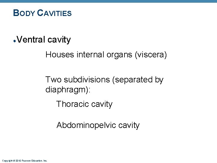 BODY CAVITIES ● Ventral cavity Houses internal organs (viscera) Two subdivisions (separated by diaphragm):