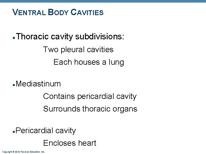 VENTRAL BODY CAVITIES ● Thoracic cavity subdivisions: Two pleural cavities Each houses a lung VENTRAL BODY CAVITIES ● Thoracic cavity subdivisions: Two pleural cavities Each houses a lung