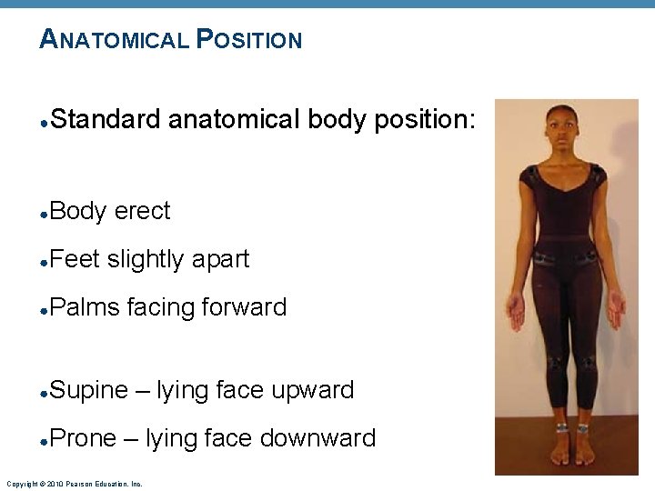 ANATOMICAL POSITION ● Standard anatomical body position: ● Body erect ● Feet slightly apart