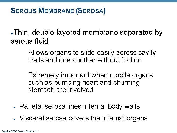 SEROUS MEMBRANE (SEROSA) Thin, double-layered membrane separated by serous fluid ● Allows organs to SEROUS MEMBRANE (SEROSA) Thin, double-layered membrane separated by serous fluid ● Allows organs to