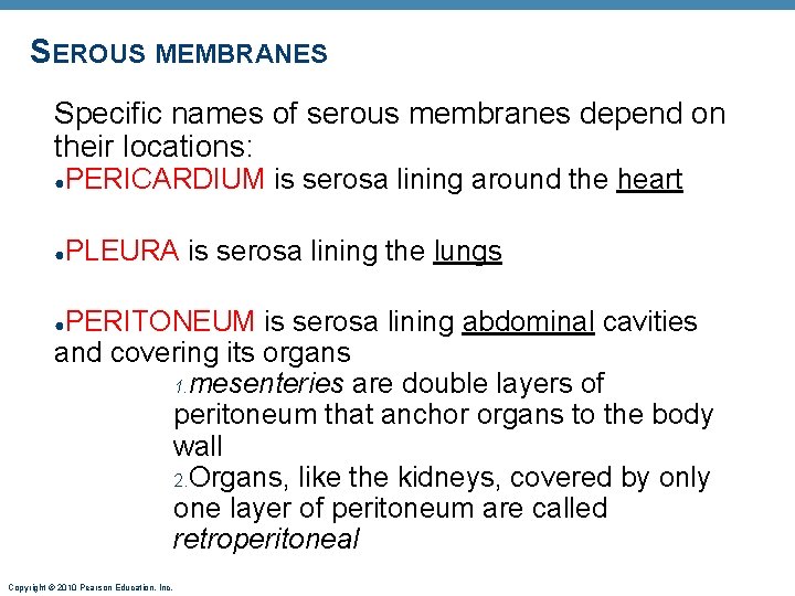 SEROUS MEMBRANES Specific names of serous membranes depend on their locations: ● PERICARDIUM is