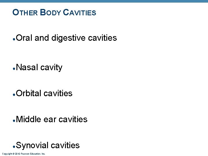 OTHER BODY CAVITIES ● Oral and digestive cavities ● Nasal cavity ● Orbital cavities