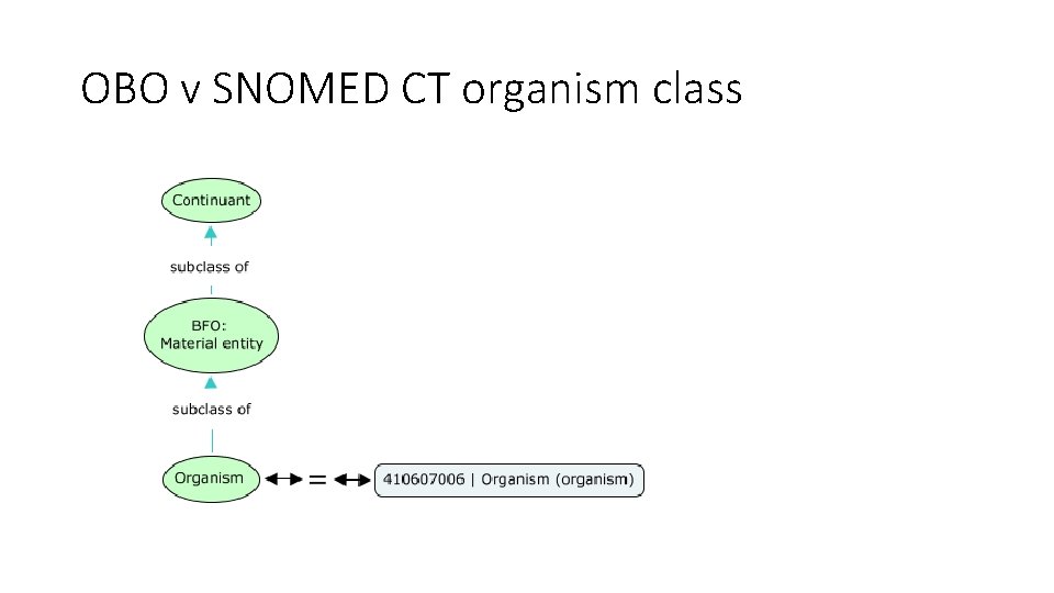 OBO v SNOMED CT organism class 