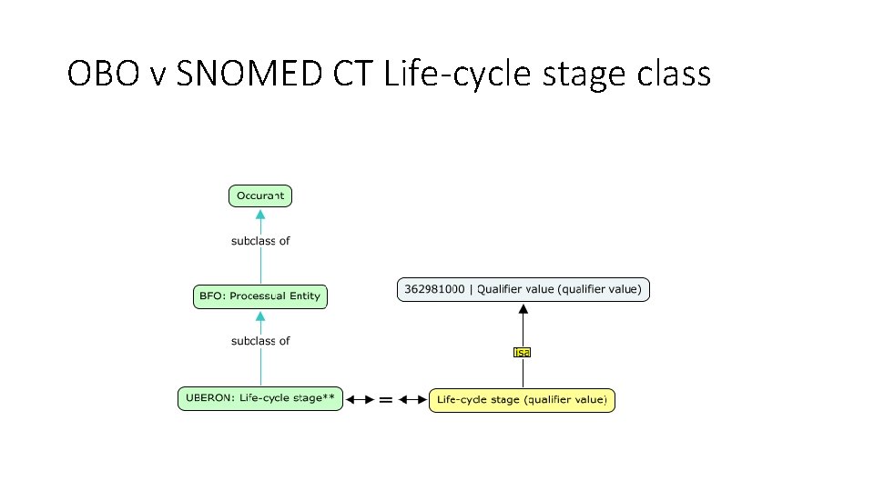OBO v SNOMED CT Life-cycle stage class 