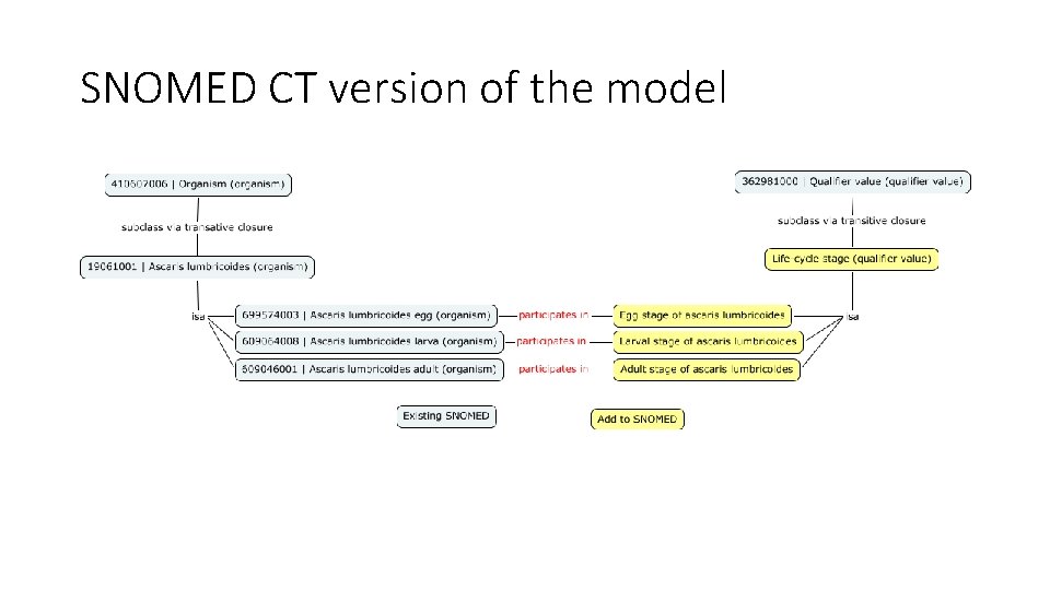 SNOMED CT version of the model 