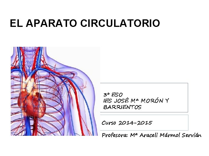 EL APARATO CIRCULATORIO 3º ESO IES JOSÉ Mª MORÓN Y BARRIENTOS Curso 2014 -2015