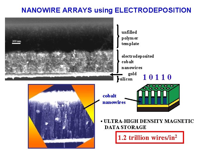 NANOWIRE ARRAYS using ELECTRODEPOSITION unfilled polymer template 200 nm electrodeposited cobalt nanowires gold silicon