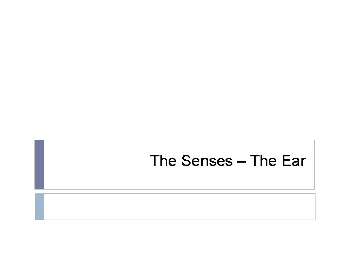 The Senses – The Ear 