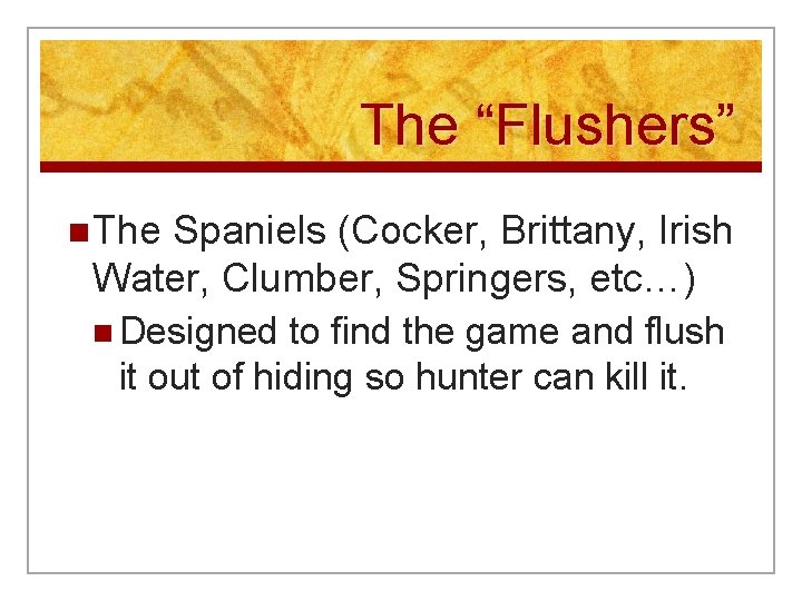 The “Flushers” n The Spaniels (Cocker, Brittany, Irish Water, Clumber, Springers, etc…) n Designed