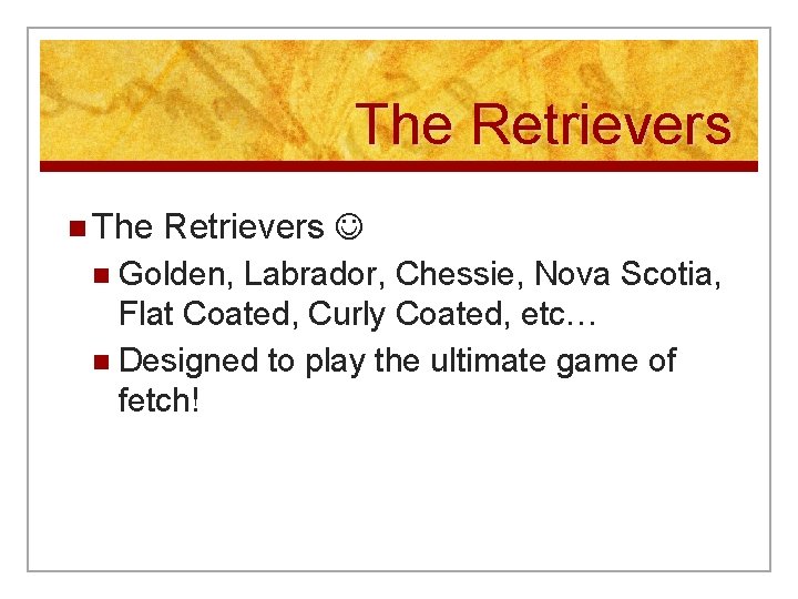 The Retrievers n The Retrievers n Golden, Labrador, Chessie, Nova Scotia, Flat Coated, Curly
