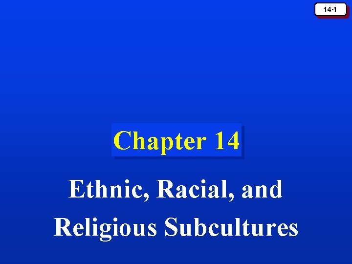 14 -1 Chapter 14 Ethnic, Racial, and Religious Subcultures 