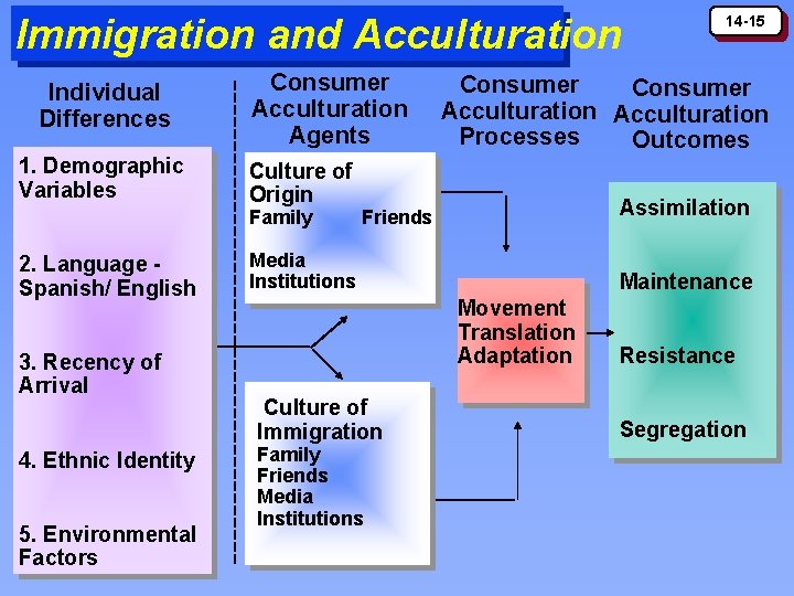 Immigration and Acculturation Individual Differences 1. Demographic Variables Consumer Acculturation Agents Culture of Origin