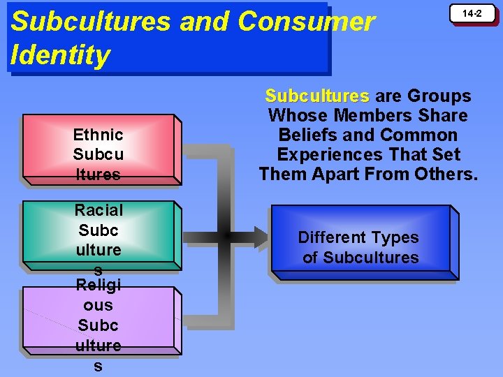 Subcultures and Consumer Identity Ethnic Subcu ltures Racial Subc ulture s Religi ous Subc