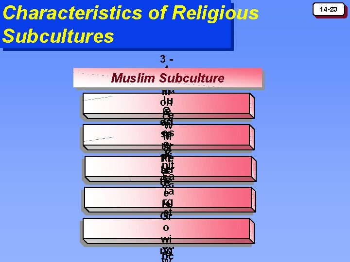 Characteristics of Religious Subcultures 34 Muslim Subculture Mi Va lli lu on C Ae