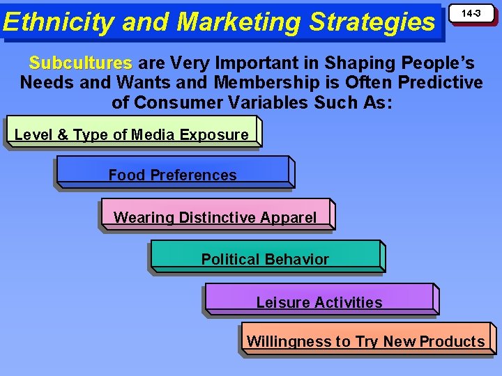 Ethnicity and Marketing Strategies 14 -3 Subcultures are Very Important in Shaping People’s Needs