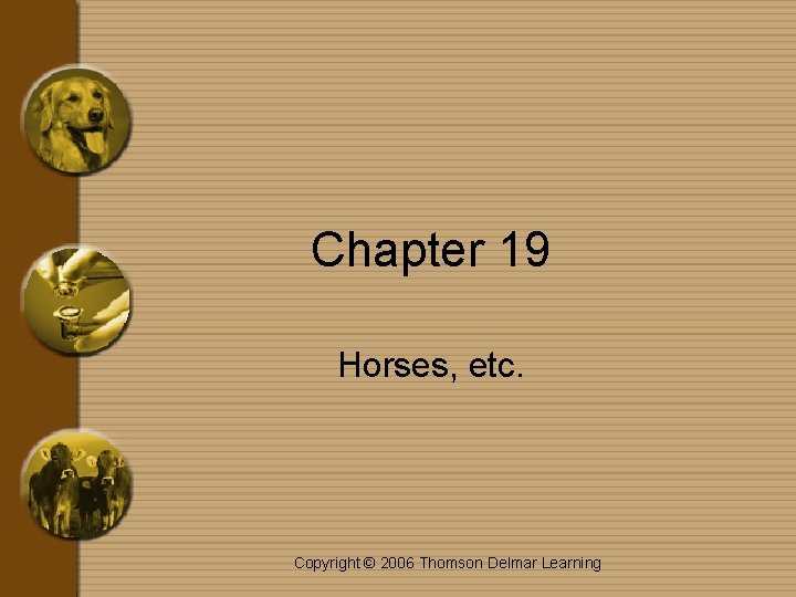 Chapter 19 Horses, etc. Copyright © 2006 Thomson Delmar Learning 