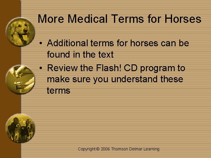 More Medical Terms for Horses • Additional terms for horses can be found in