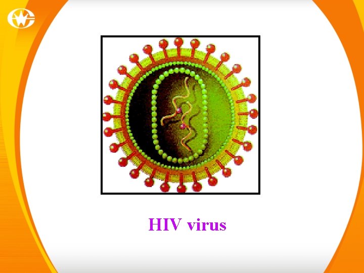 HIV virus 