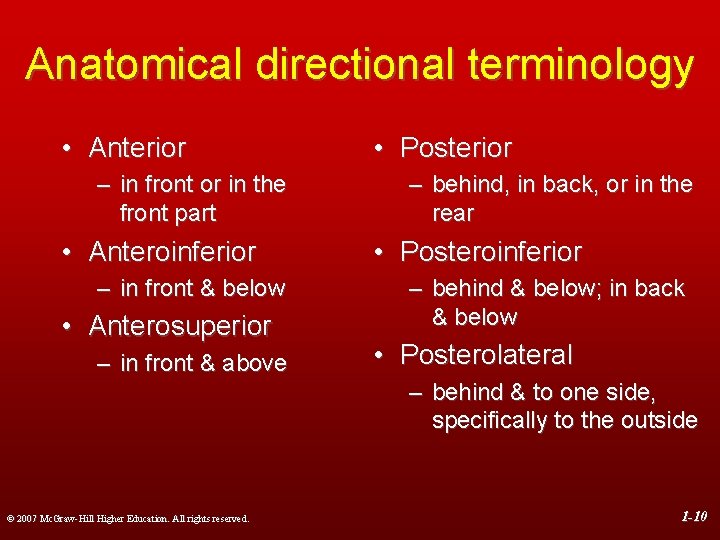 Anatomical directional terminology • Anterior – in front or in the front part •