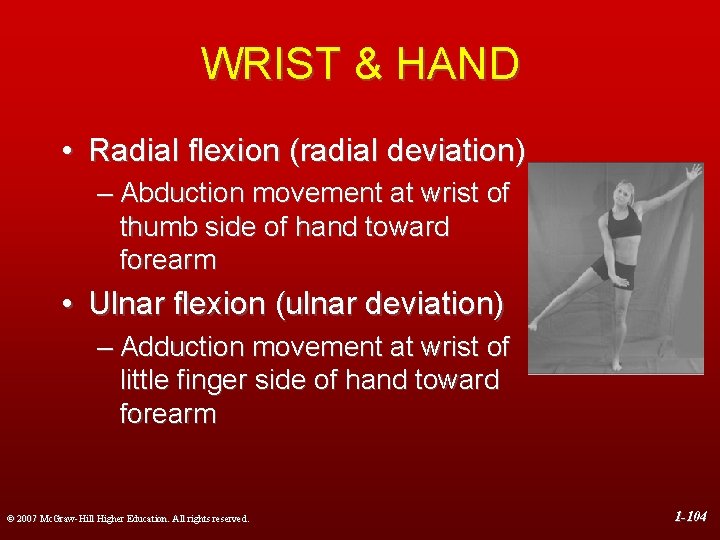 WRIST & HAND • Radial flexion (radial deviation) – Abduction movement at wrist of