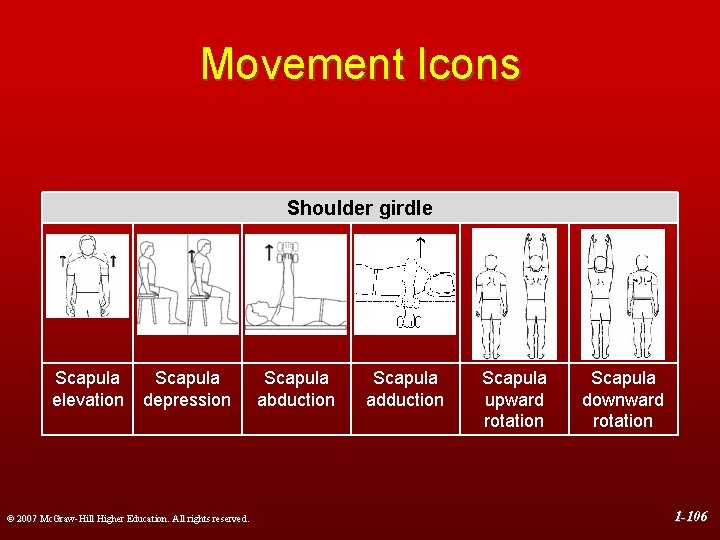 Movement Icons Shoulder girdle Scapula elevation Scapula depression © 2007 Mc. Graw-Hill Higher Education.