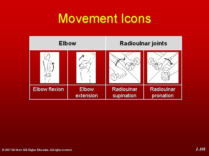 Movement Icons Elbow flexion © 2007 Mc. Graw-Hill Higher Education. All rights reserved. Elbow