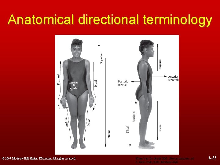 Anatomical directional terminology © 2007 Mc. Graw-Hill Higher Education. All rights reserved. From Van