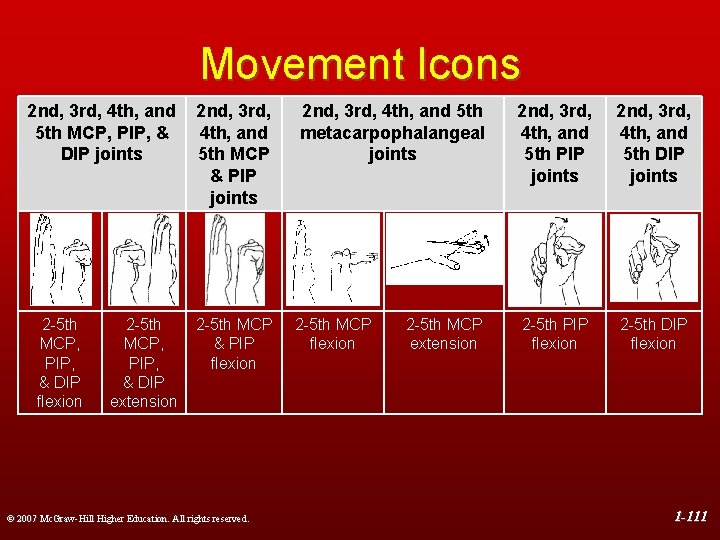 Movement Icons 2 nd, 3 rd, 4 th, and 5 th MCP, PIP, &