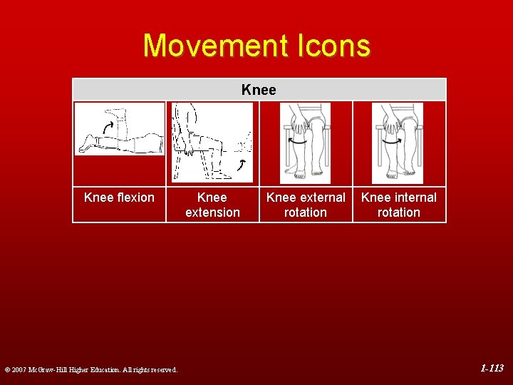 Movement Icons Knee flexion © 2007 Mc. Graw-Hill Higher Education. All rights reserved. Knee