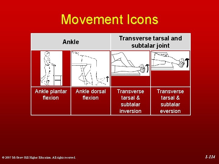 Movement Icons Ankle plantar flexion Ankle dorsal flexion © 2007 Mc. Graw-Hill Higher Education.