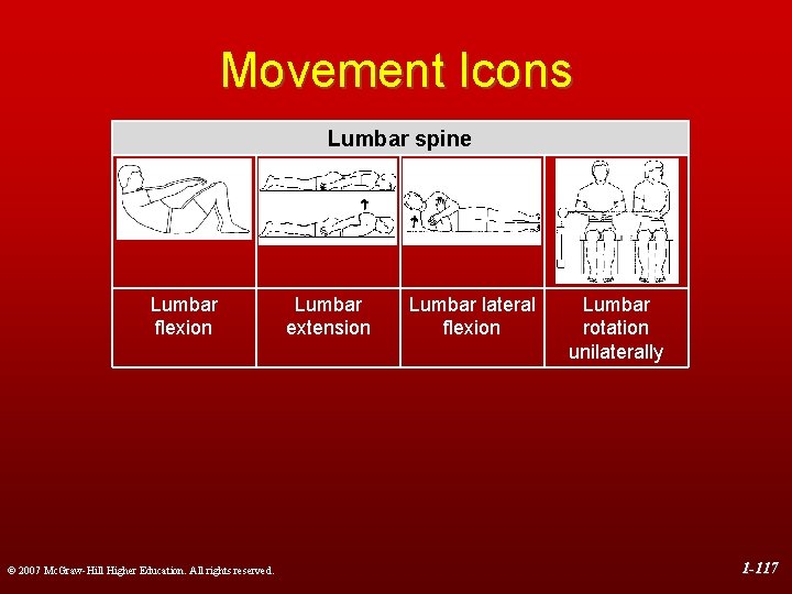 Movement Icons Lumbar spine Lumbar flexion © 2007 Mc. Graw-Hill Higher Education. All rights