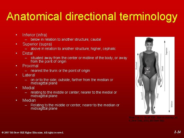 Anatomical directional terminology • Inferior (infra) • Superior (supra) • Distal • Proximal •