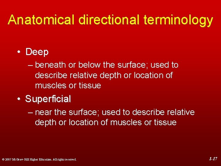 Anatomical directional terminology • Deep – beneath or below the surface; used to describe