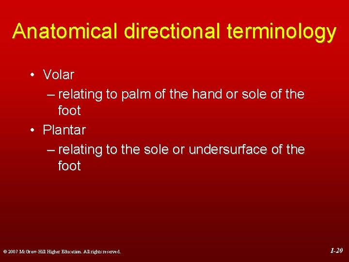 Anatomical directional terminology • Volar – relating to palm of the hand or sole