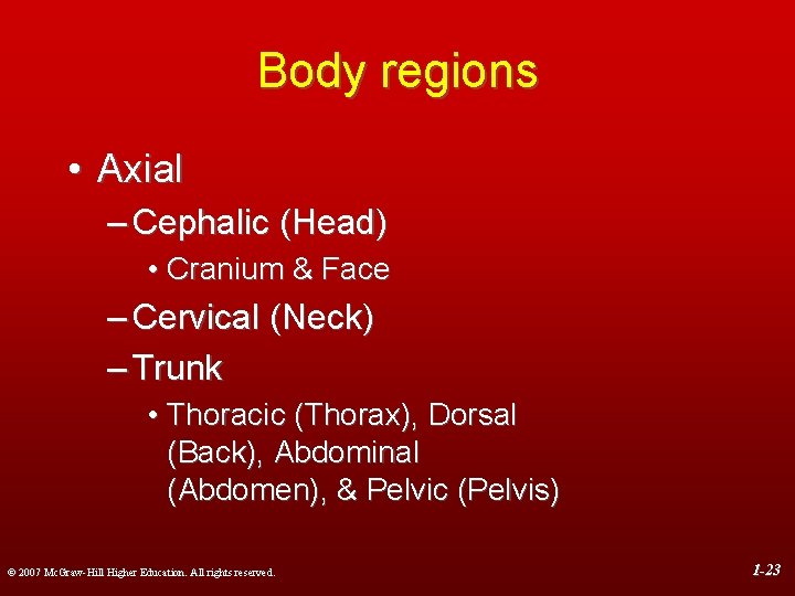 Body regions • Axial – Cephalic (Head) • Cranium & Face – Cervical (Neck)