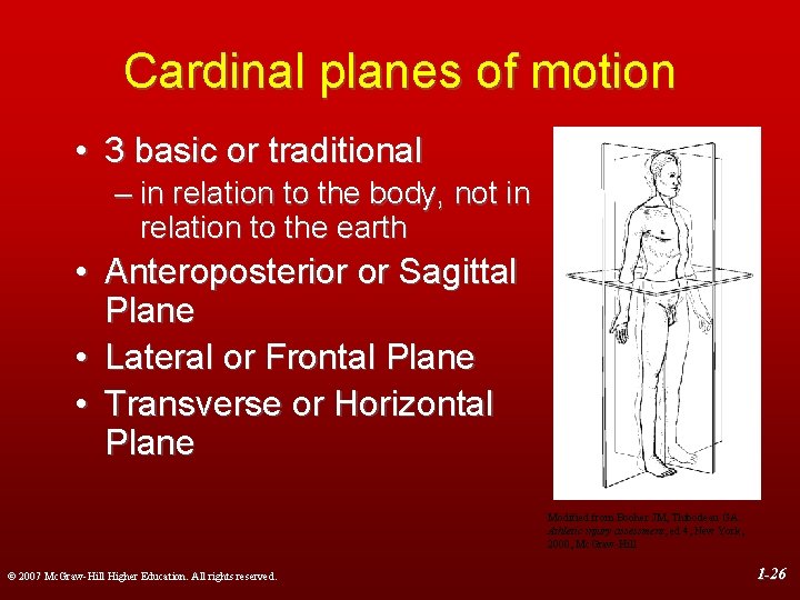 Cardinal planes of motion • 3 basic or traditional – in relation to the