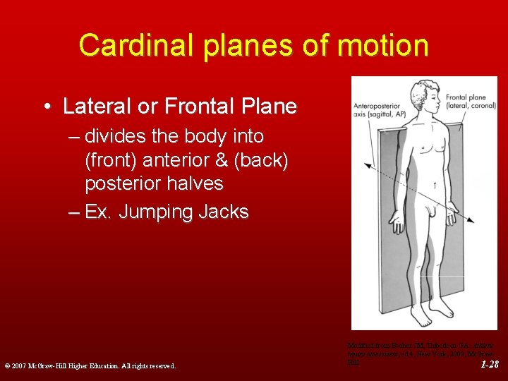 Cardinal planes of motion • Lateral or Frontal Plane – divides the body into