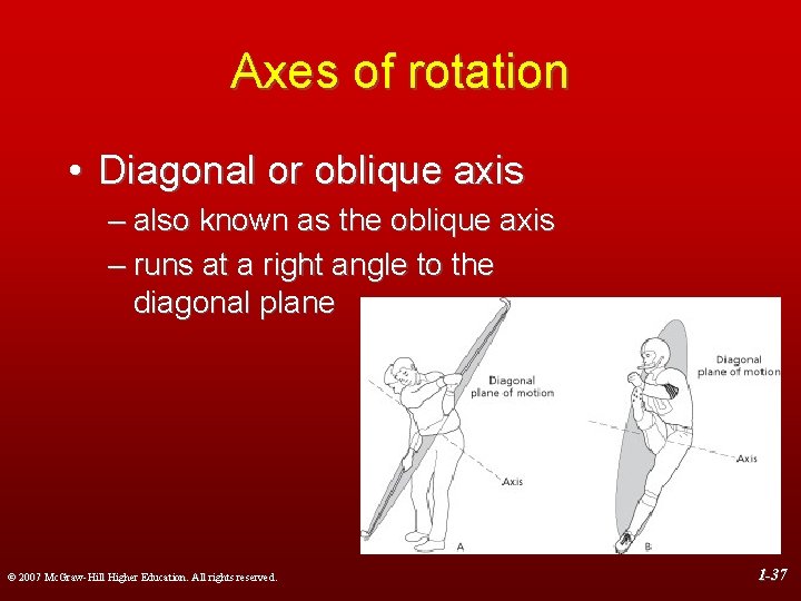 Axes of rotation • Diagonal or oblique axis – also known as the oblique