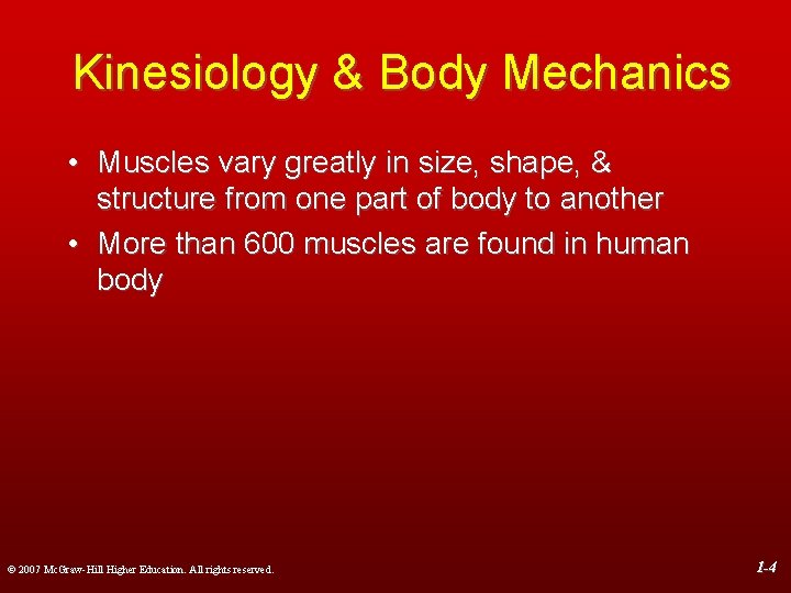 Kinesiology & Body Mechanics • Muscles vary greatly in size, shape, & structure from