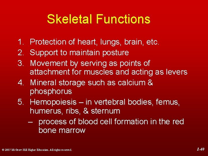 Skeletal Functions 1. 2. 3. Protection of heart, lungs, brain, etc. Support to maintain