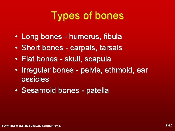 Types of bones • • Long bones - humerus, fibula Short bones - carpals,