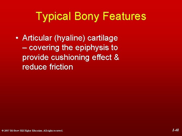 Typical Bony Features • Articular (hyaline) cartilage – covering the epiphysis to provide cushioning